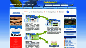 What Szkolnictwo.pl website looked like in 2023 (This year)