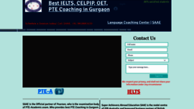 What Saaeonline.com website looked like in 2023 (This year)