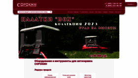 What Sorokin.ru website looked like in 2023 (This year)