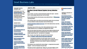 What Smallbizlabs.com website looked like in 2023 (This year)