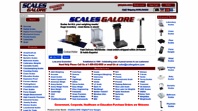 What Scalesgalore.com website looked like in 2023 (This year)