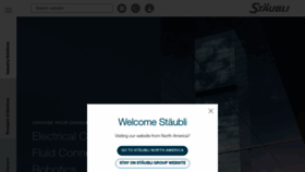 What Staubli.com website looked like in 2023 (This year)