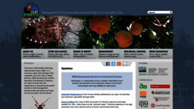 What Stopbmsb.org website looked like in 2023 (2 years ago)