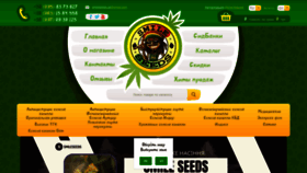 What Smileseeds.com.ua website looked like in 2023 (This year)