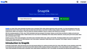 What Snaptik.ltd website looked like in 2023 (This year)