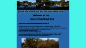 What Selseymodelboatclub.co.uk website looked like in 2023 (This year)