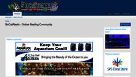 What Socalireefs.com website looked like in 2023 (This year)