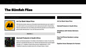 What Slimfish.co.za website looked like in 2023 (This year)