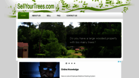 What Sellyourtrees.com website looked like in 2023 (This year)