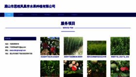 What Scfenghuangli.com website looked like in 2023 (This year)
