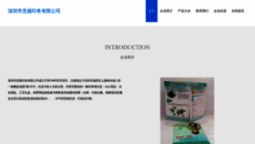 What Shenzhenyicai.com website looked like in 2023 (This year)