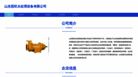 What Shiwangchina.com website looked like in 2023 (This year)