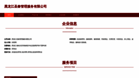 What Shengqianfuzhuang.com website looked like in 2023 (This year)
