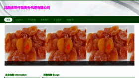 What Shengyuqianding.com website looked like in 2023 (This year)