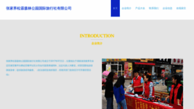 What Slgongyuan.com website looked like in 2023 (This year)