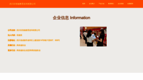 What Scxinzhiyang.com website looked like in 2023 (This year)