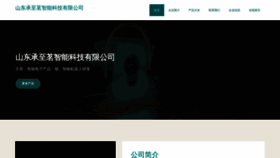 What Sdchengzhiming.com website looked like in 2023 (This year)