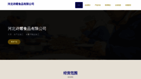 What Shiyaoxiaozhen.com website looked like in 2023 (This year)
