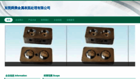 What Shuntengyinbao.com website looked like in 2023 (This year)