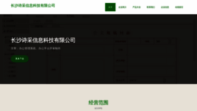 What Shicaixinxikeji.com website looked like in 2023 (This year)