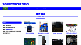 What Sltsygs.com website looked like in 2023 (This year)
