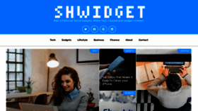What Shwidget.com website looked like in 2023 (This year)