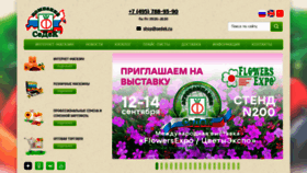 What Sedek.ru website looked like in 2023 (This year)
