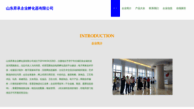 What Shandongshengcheng.com website looked like in 2023 (This year)