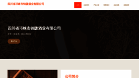 What Scqljinlong.com website looked like in 2023 (This year)