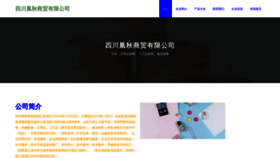 What Sdhuanqiugou.com website looked like in 2023 (This year)