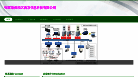 What Skydianjing.com website looked like in 2023 (This year)