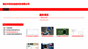 What Shoulashouhuzhu.com website looked like in 2023 (This year)