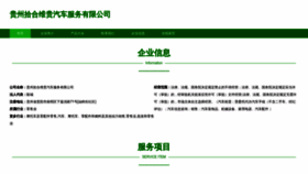 What Shiheweigui.com website looked like in 2023 (This year)