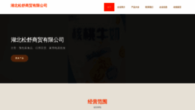 What Songshuxiaojian.com website looked like in 2023 (This year)