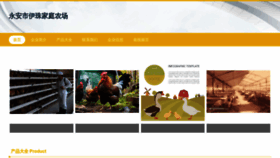 What Szyizhu.com website looked like in 2023 (This year)