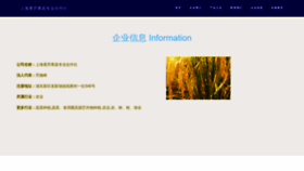 What Shzhuqiao.com website looked like in 2023 (This year)