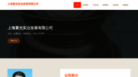 What Shsuguang.com website looked like in 2023 (This year)
