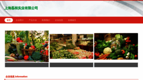 What Shleihuan.com website looked like in 2023 (This year)