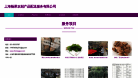 What Shchangguo.com website looked like in 2023 (This year)