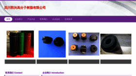 What Scguoxing.com website looked like in 2023 (This year)