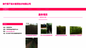 What Shmoqian.com website looked like in 2023 (This year)