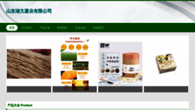What Sdxiangkang.com website looked like in 2023 (This year)