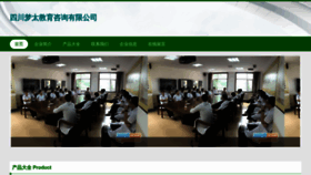 What Scmengtai.com website looked like in 2023 (This year)