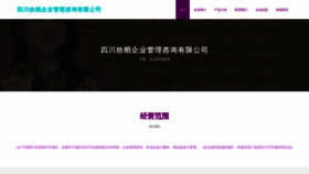 What Scshidao.com website looked like in 2023 (This year)