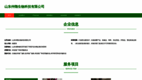 What Sdzhongsui.com website looked like in 2023 (This year)