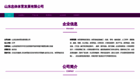 What Sdzhongti.com website looked like in 2023 (This year)