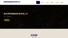 What Sxhuaguo.com website looked like in 2023 (This year)