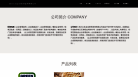 What Scjiangji.com website looked like in 2023 (This year)