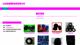 What Sdzhanao.com website looked like in 2023 (This year)