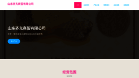 What Sdqikang.com website looked like in 2023 (This year)